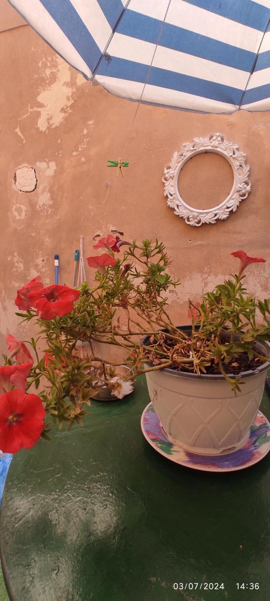 Casa Di Mare Apartman Corfu  Kültér fotó